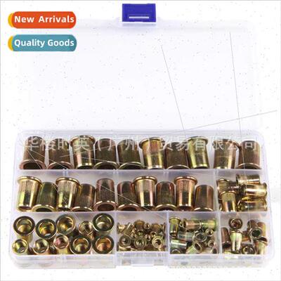 170PCS Flat Head Vertical Rivet Nuts Bag Box wh Colorful Zin