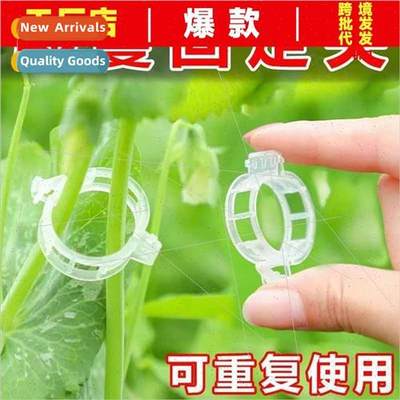 Gardening tools tomato hanging rope snap clips vine clamps b