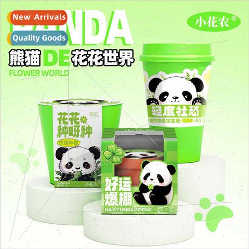 Kids Plant Watch Student Planting Small Potted Plants Deskto