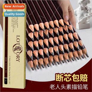 Elder Head Sketching Pencils Art Students Practice Professio