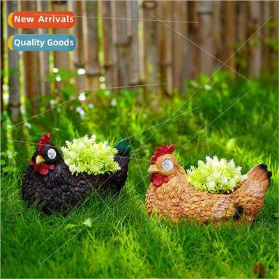 mulation hen succulent flower pots patio garden lawn landsca
