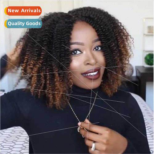 New african wigshair Europe wig female short curly hair expl