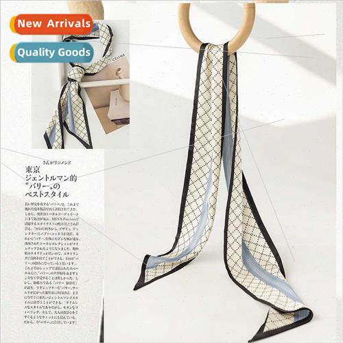 terary spring summer long simulation silk scarf hairbfemale