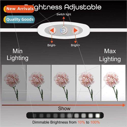 Adjustable ghting USB Cable Mini Photo Booth Accessories Sof