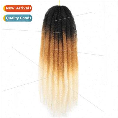 24inch Afro Kinky Braids Europe Caterpillar Long Curly Wig H