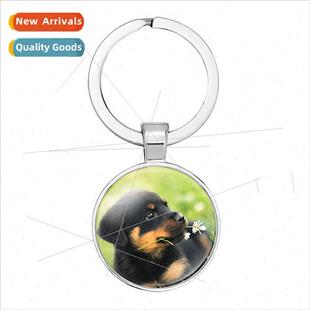 Fashion Jewelry Car Bag Pendant Cute Dog Animal Time Gemston