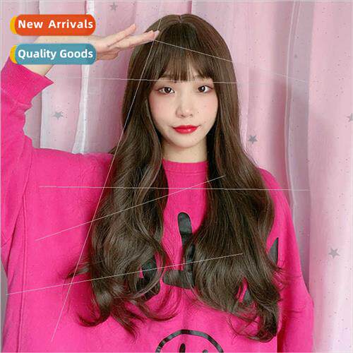 Matte silk wig female long hair air bangs rose net head cove