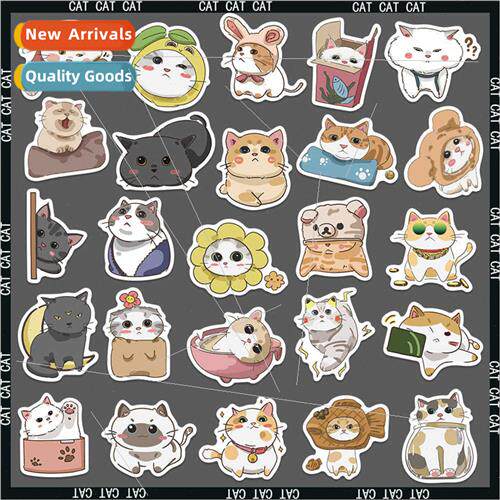 62 cute Japan cat daily doodle stickers trolley case water c