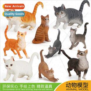 model walking whe Animal orange cat sting chil solid