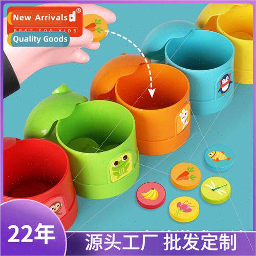 rainbow house color classification cup game children early e