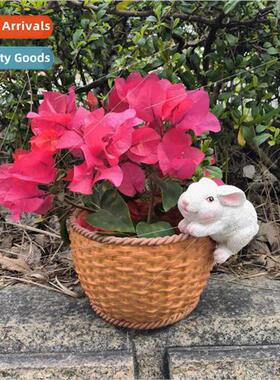 American Europe rabb flower pot creative home living room ba