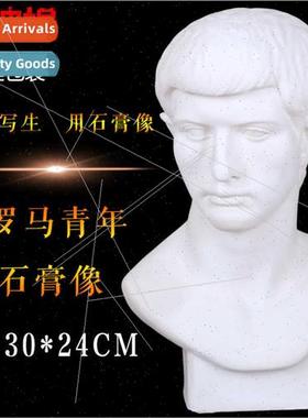 Brandt Plaster Teaching Aids Plaster Plaster Statue Plaster