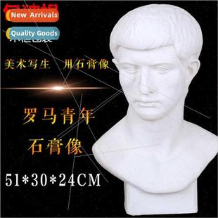 Brandt Plaster Teaching Aids Plaster Plaster Statue Plaster