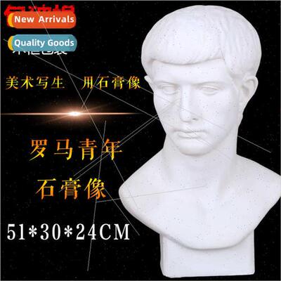 Brandt Plaster Teaching Aids Plaster Plaster Statue Plaster