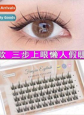 Canine Segmented ngle Cluster Lazy sters Natural Spir mulati