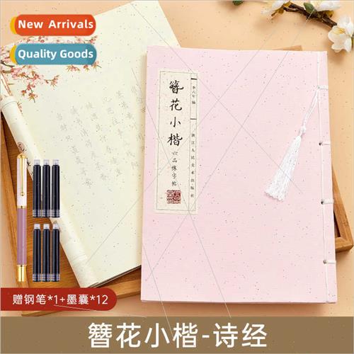 Adult cure practice character posters beginner hairpin lower