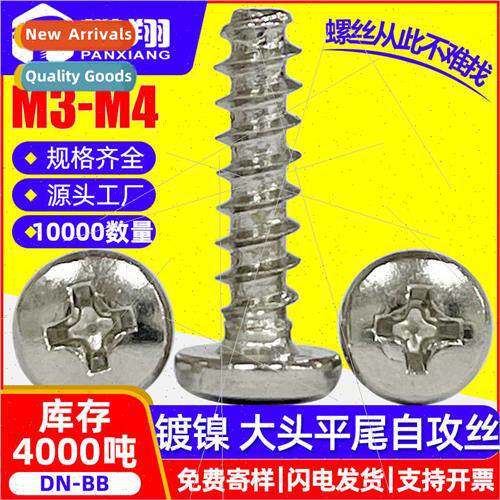 BB large head iron screws cross slot large round head flat t