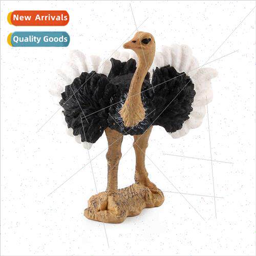 Wildlife bird model children puzzle science education ostric