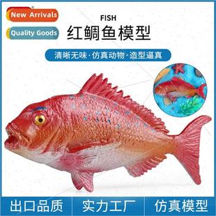 bas red fish cognive solid Sea thick animals marine sea