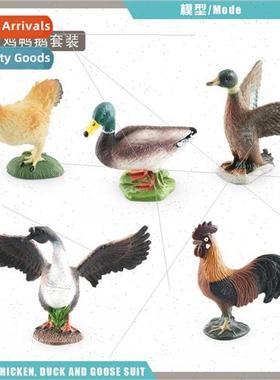 Farm Poultry Chicken Duck Goose Model Rooster Green Head Duc