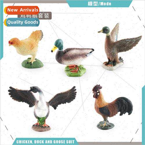 Farm Poultry Chicken Duck Goose Model Rooster Green Head Duc
