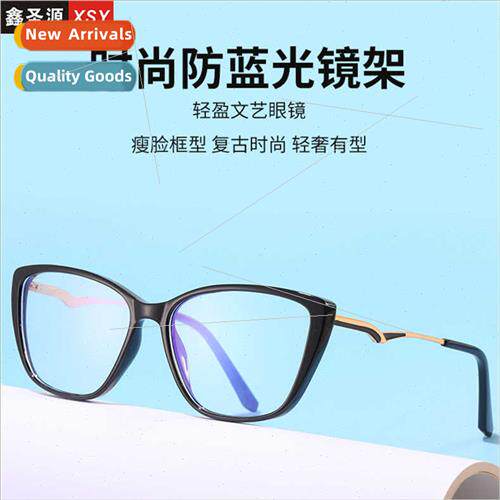 flat glasses Ms. 1902 cat eye goggle frame anti-computer rad