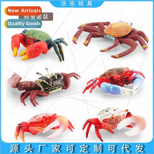 Model artifacts simulation fiddler crab rumbler crab open-mo