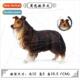 black wildlife sheepdog model handmade Static children solid