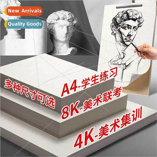 Art Sketching Paper Old Man Head 8K Pencil Drawing Paper Gre