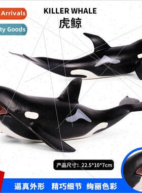 life animal science education toys killer whale model toys s
