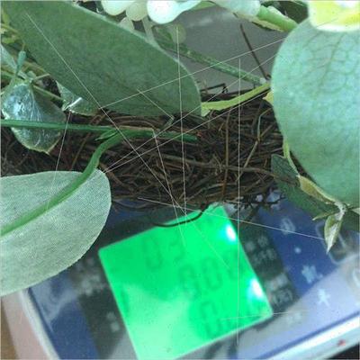 Easter Home Decor Wooden Plaque Wreath English Backdrop Deco