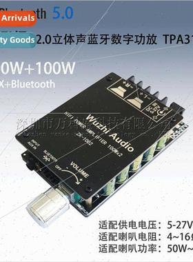 100WX2 HIFI grade audiophile high fidely high power 2.0 ster