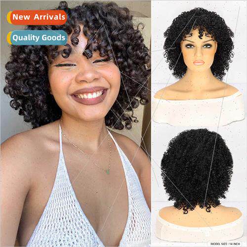 Wigs African Women Black Short Curly Hair Small Curly Hair F