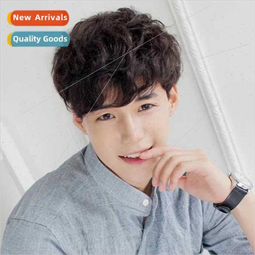Korean fashion men wigs handsome boys short curly hair fluff