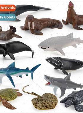 trumpet blue whale humpback whale right whale megalodon walr