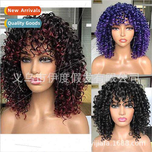 Europe women wigs african small curly long curly hair explos