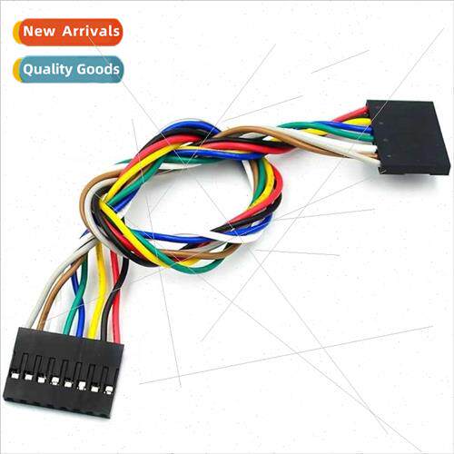 2.54 Dupont Cable-2P/3P/4P/6P/8P Double Head wh Holder 20CM