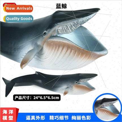 Whale Model Static Solid Plastic Toys New Blue Whale Sharks