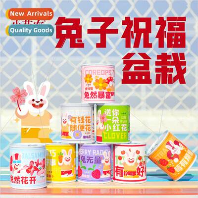 kindergarten Year Rabb blessing potted plants fun desk creat