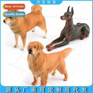 Inu des Oversized Shiba Doberman home Retriever solid Golden