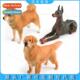 solid home Shiba Golden Oversized Doberman Inu Retriever des