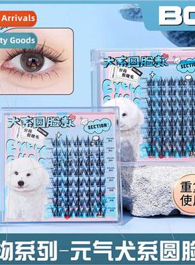 Canine round face segmented false eyelashes natural simulati