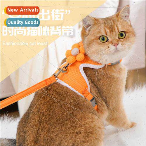 Cat leash pet leash special high-color undershirt type I-bea