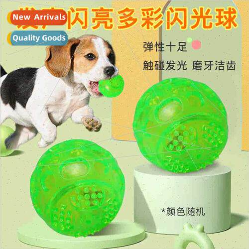Rubber light-emting ball outdoor dog toys chewing sound dog