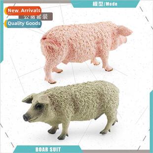 Children Poultry Farm Animals Woolly Boar Static Solid Deskt
