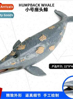 Model toys whale shark humpback whale plastic animal model o