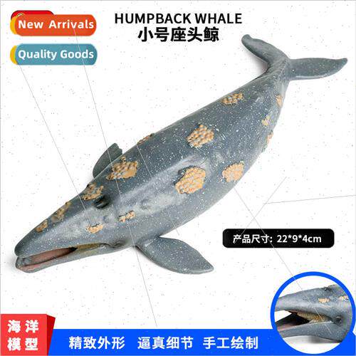 Model toys whale shark humpback whale plastic animal model o