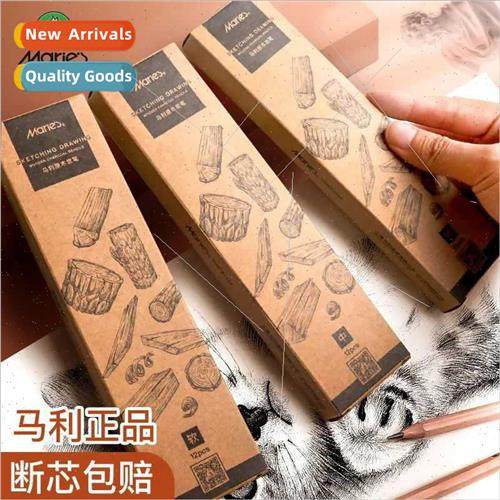 Art exams training wooden charcoal pencil thick black art st