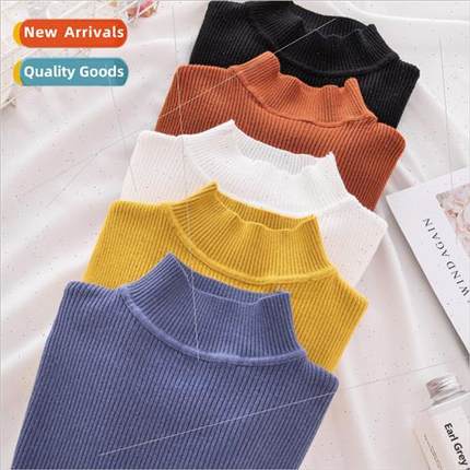 New Turtleneck Knted Sweater Female Casual Pullover Women