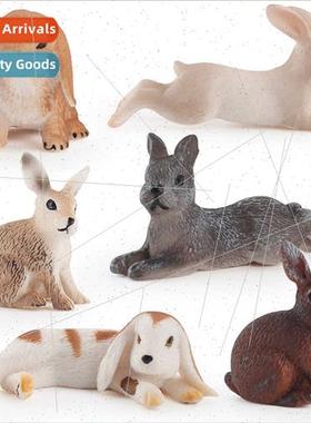 Ranch vestock Rabb Model Drop Eared Rabb Hare Black Whe Gray